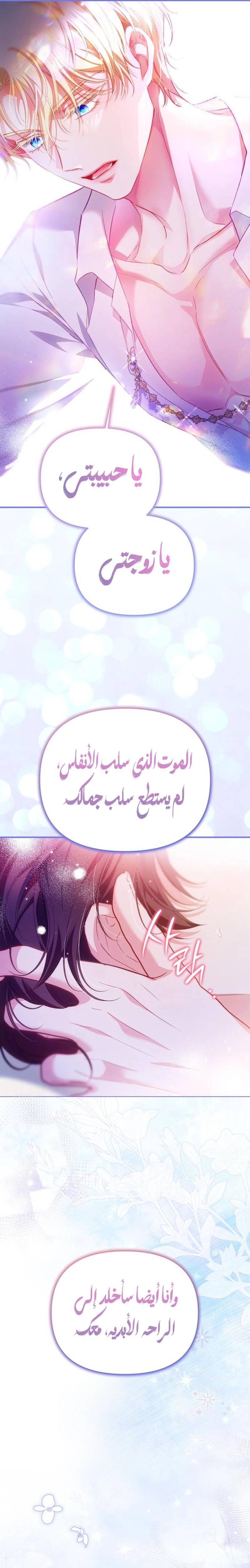 الصفحة 20