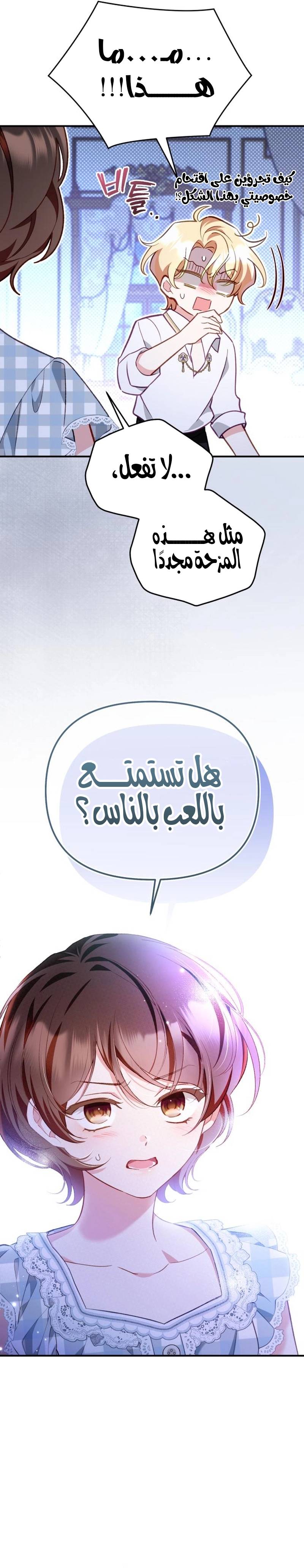 الصفحة 26