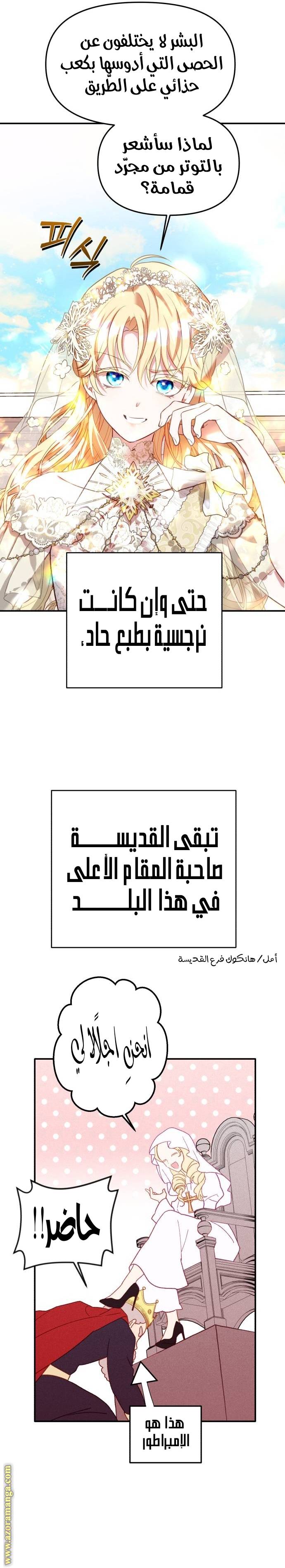 الصفحة 15
