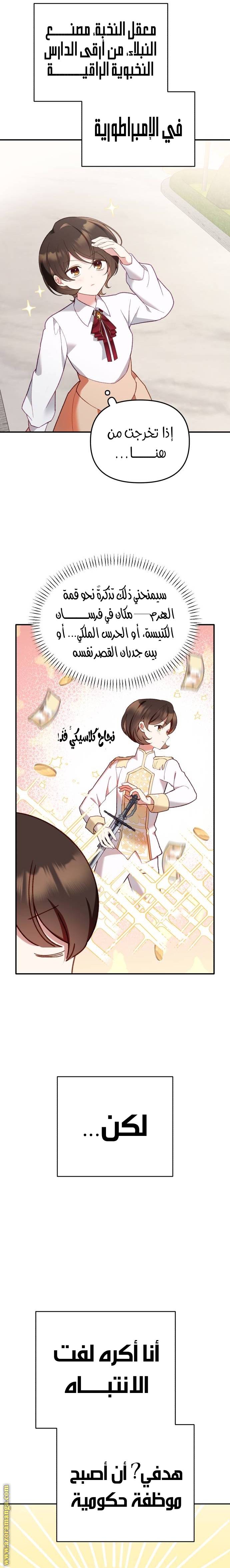 الصفحة 19