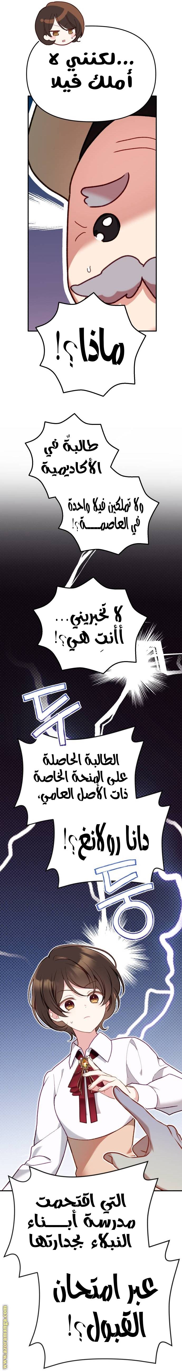 الصفحة 25