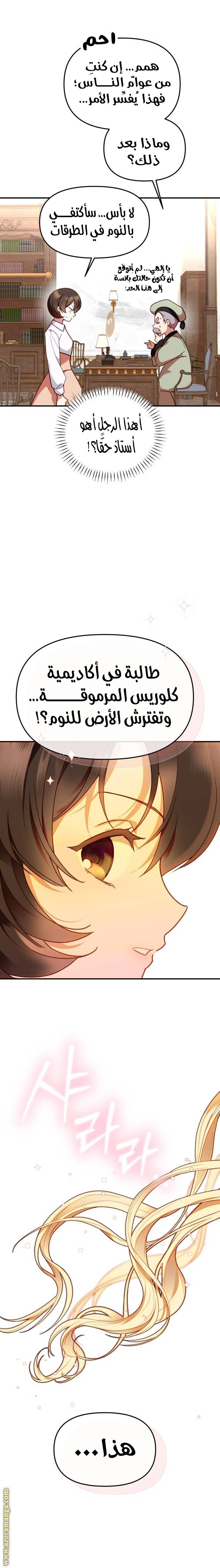 الصفحة 26