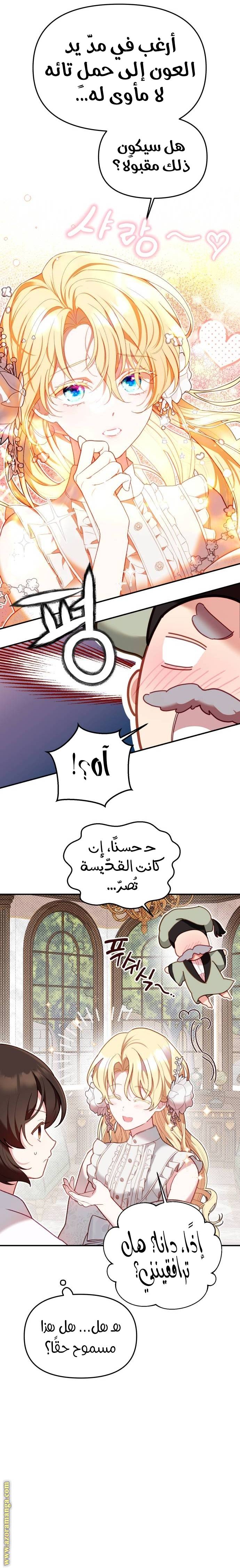 الصفحة 29