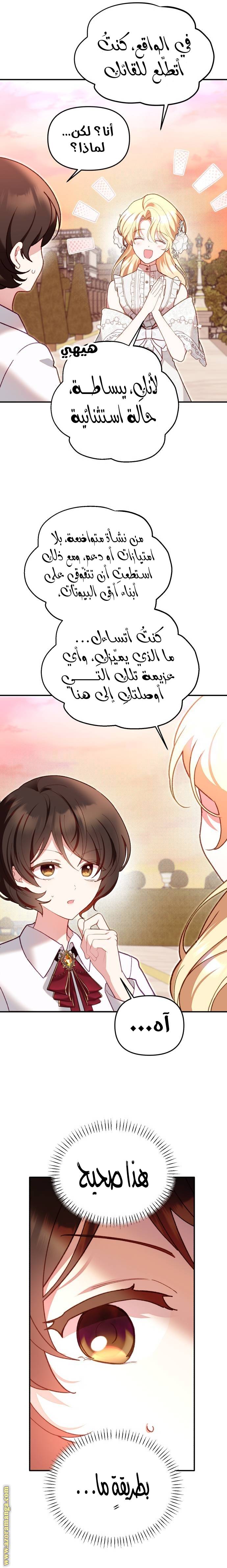 الصفحة 31
