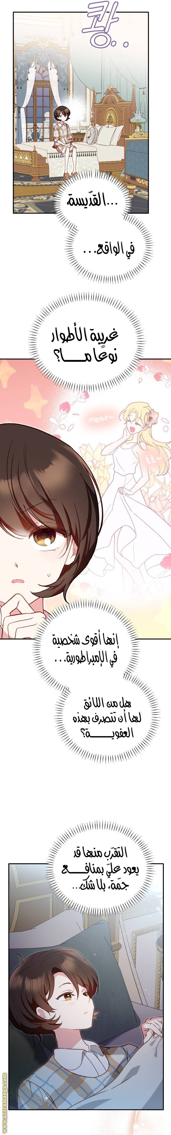 الصفحة 43