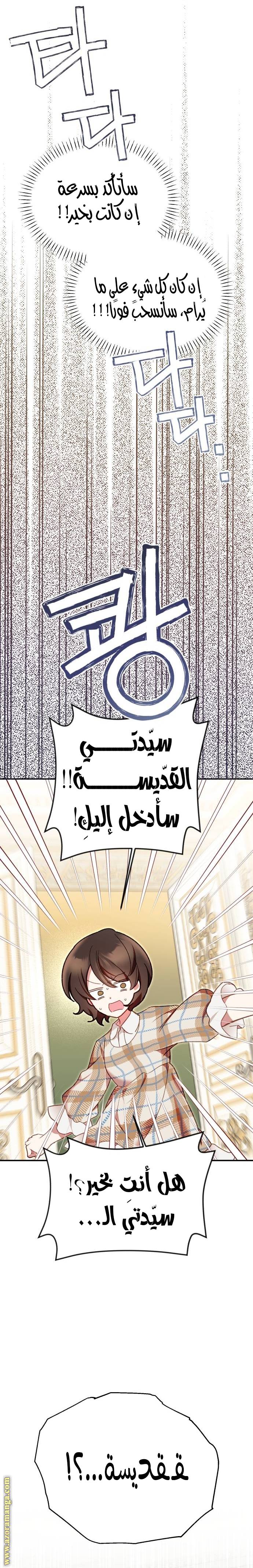 الصفحة 47