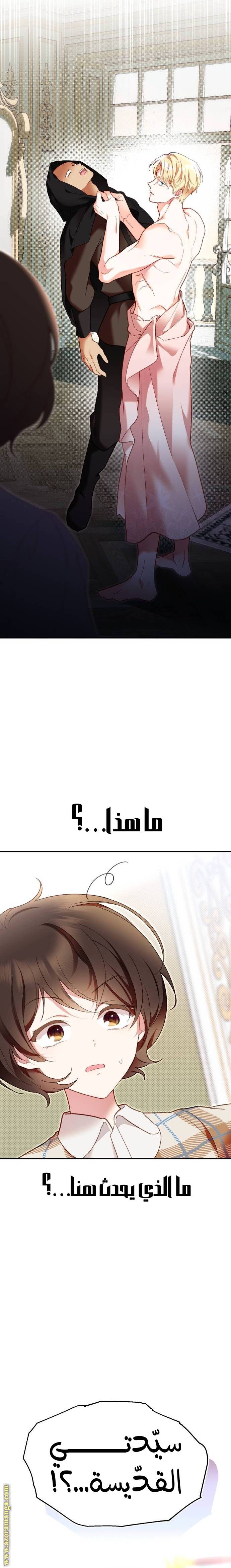 الصفحة 48