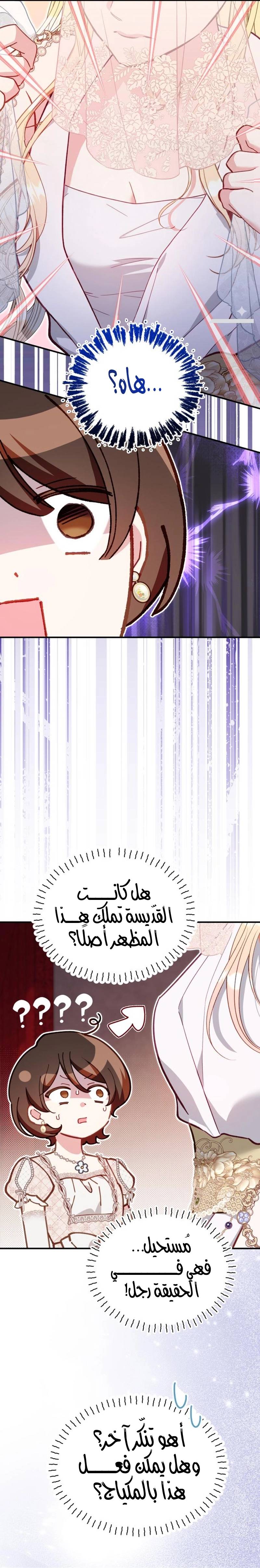الصفحة 13