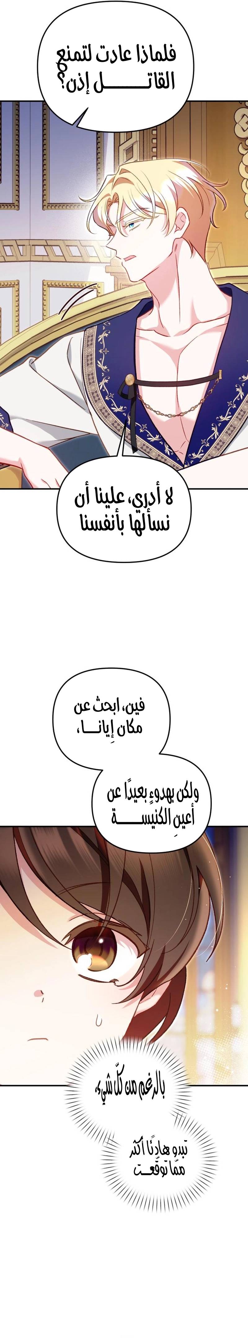 الصفحة 25