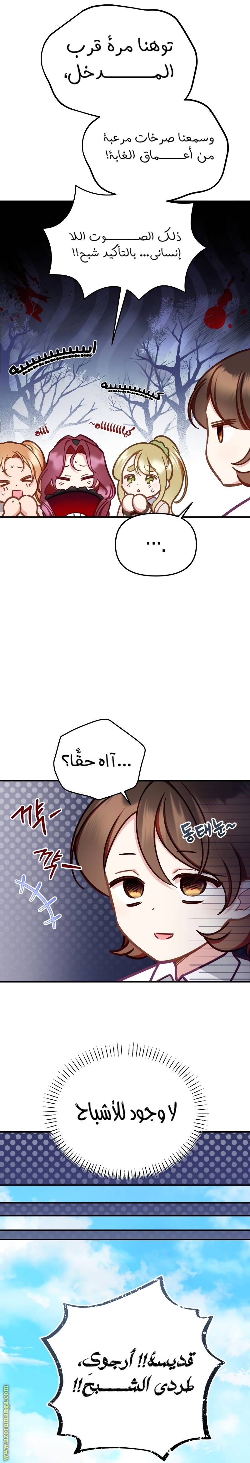 الصفحة 29