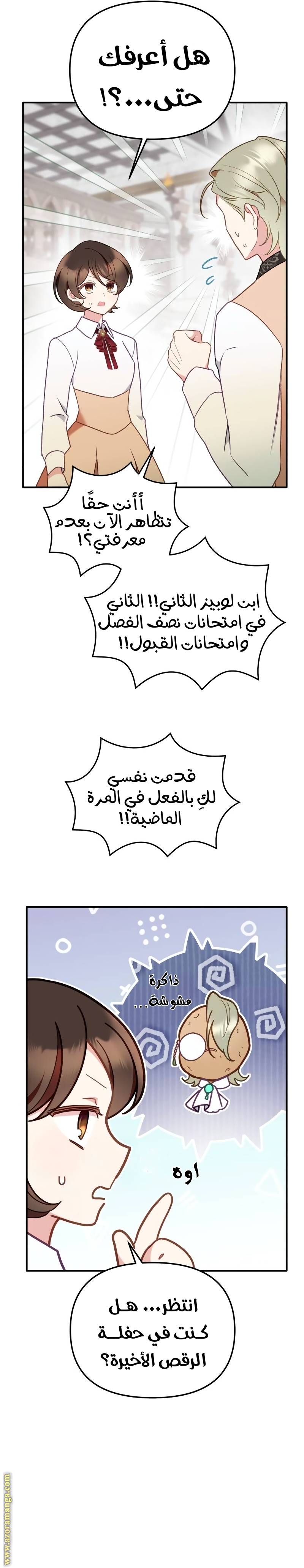 الصفحة 13