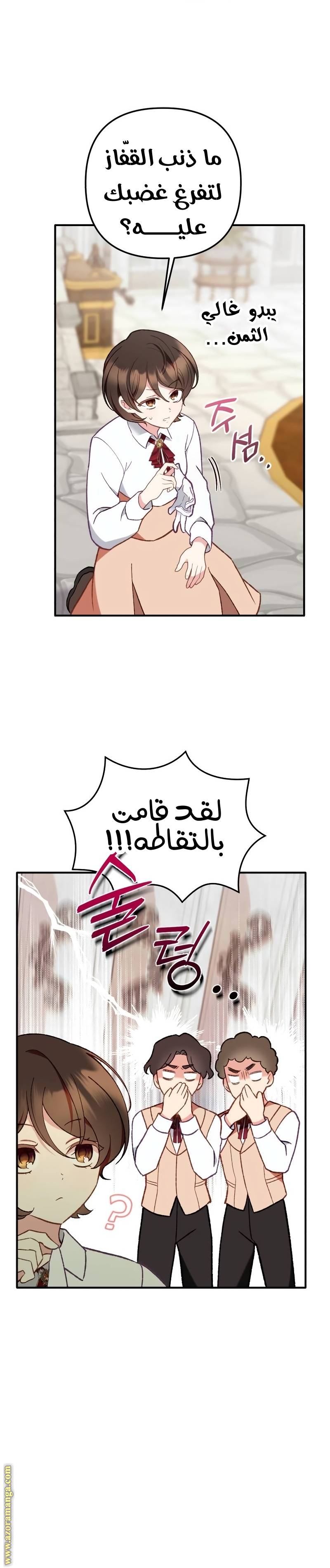 الصفحة 19