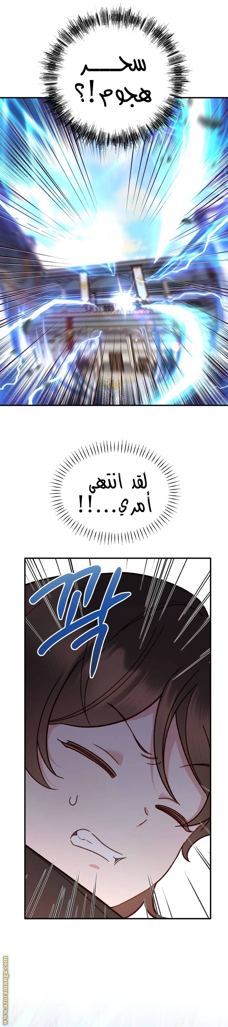 الصفحة 33