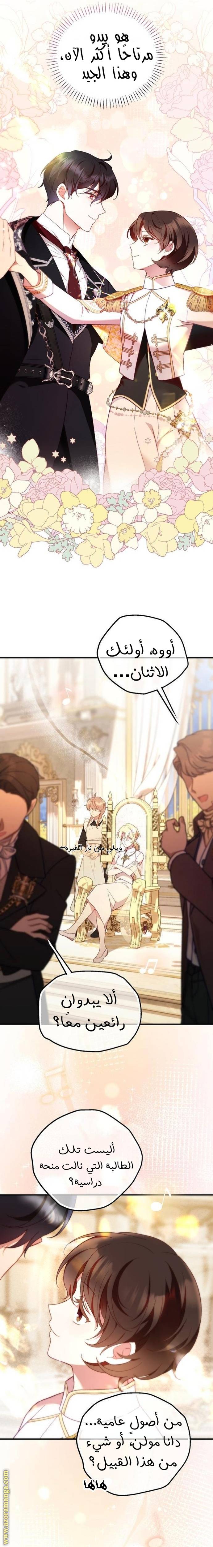 الصفحة 19