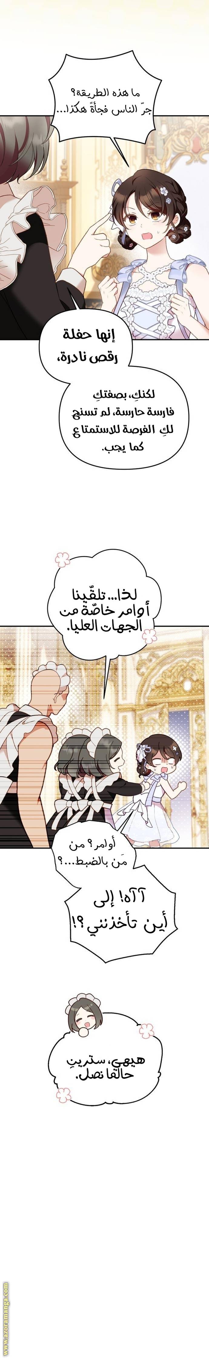 الصفحة 25