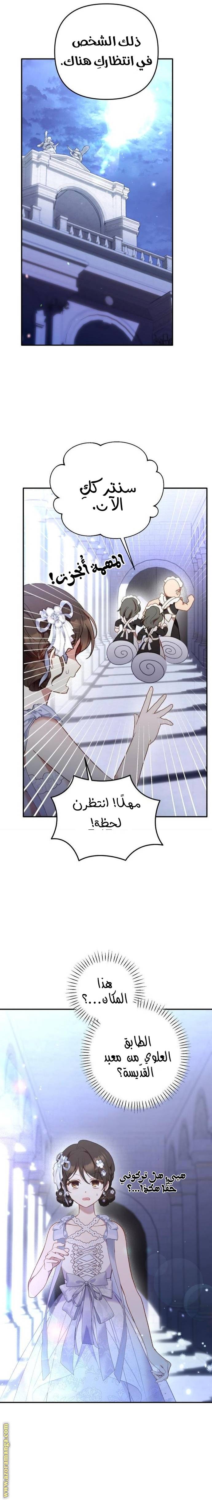 الصفحة 26