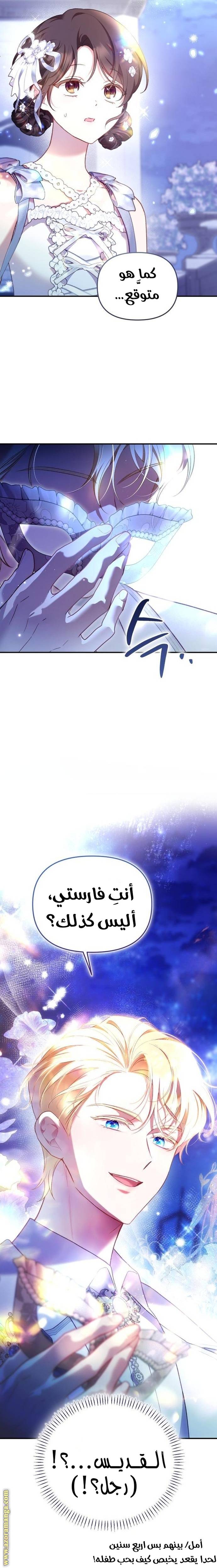 الصفحة 29