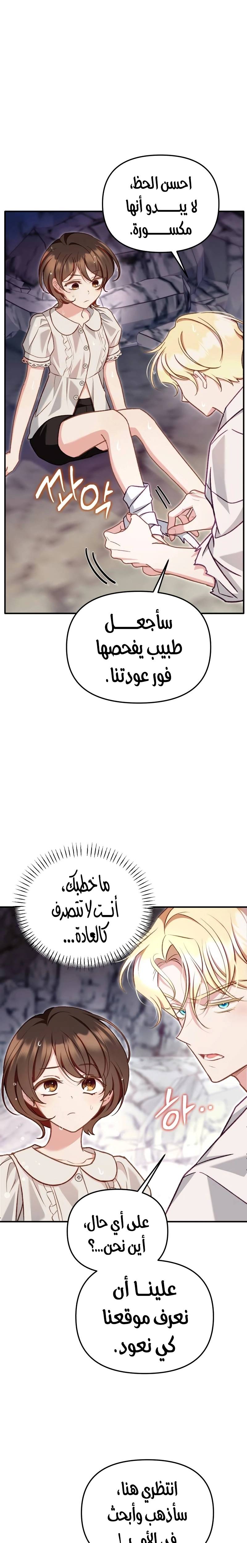 الصفحة 17