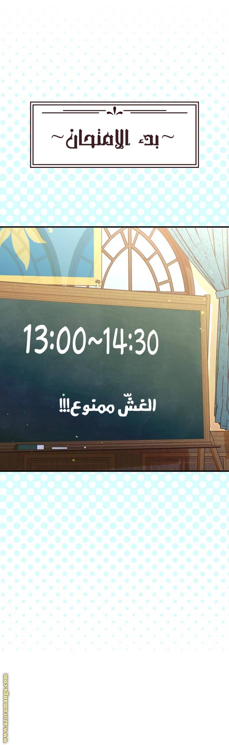 الصفحة 17