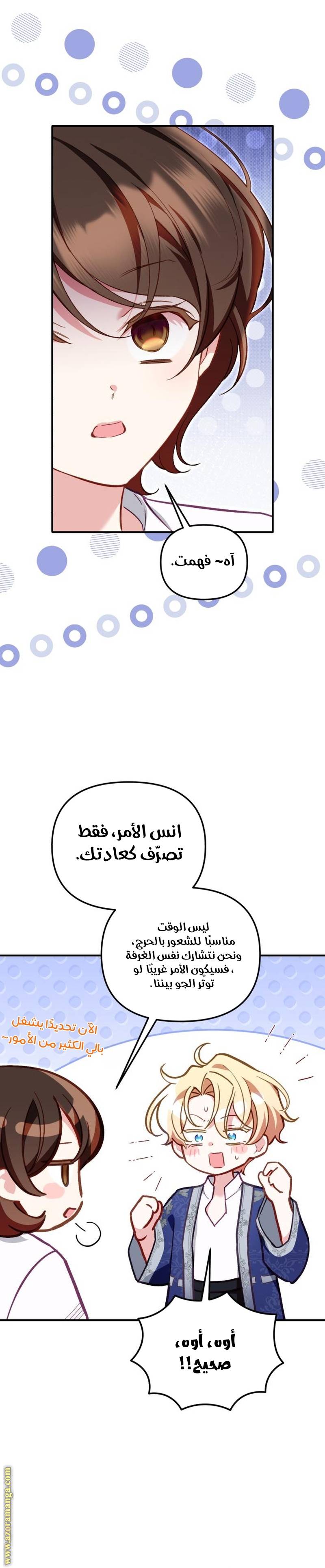 الصفحة 29