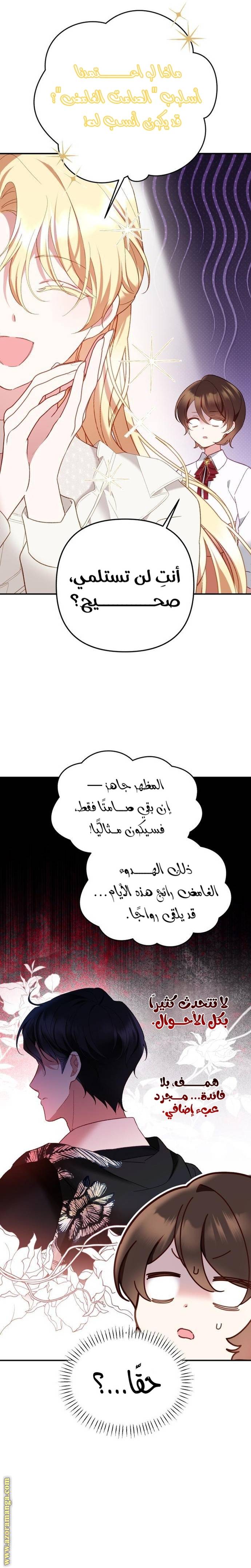 الصفحة 13