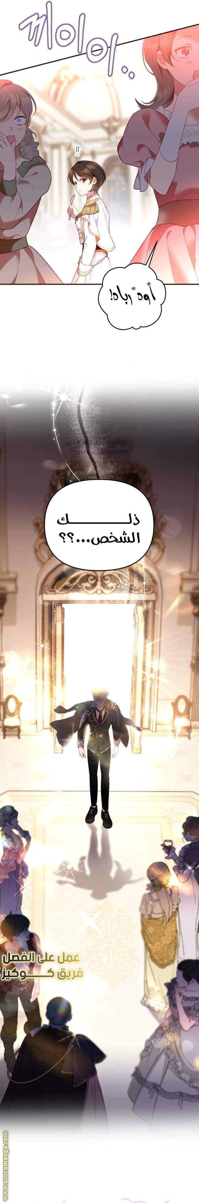 الصفحة 26