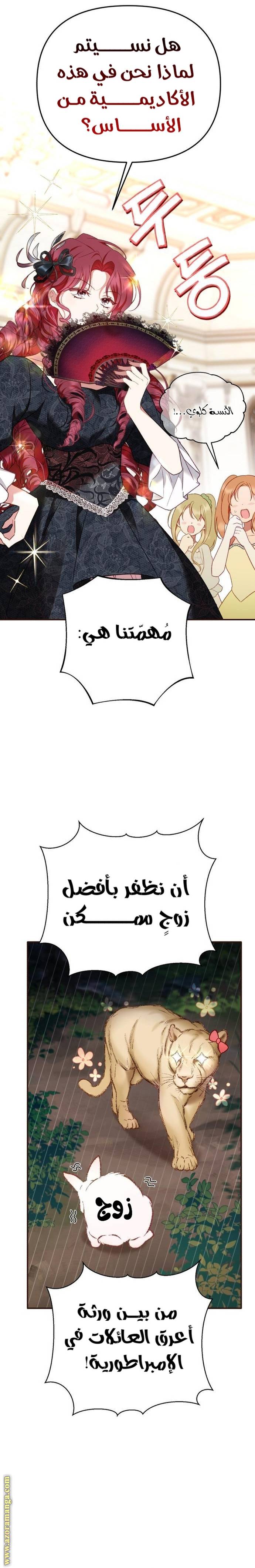 الصفحة 29