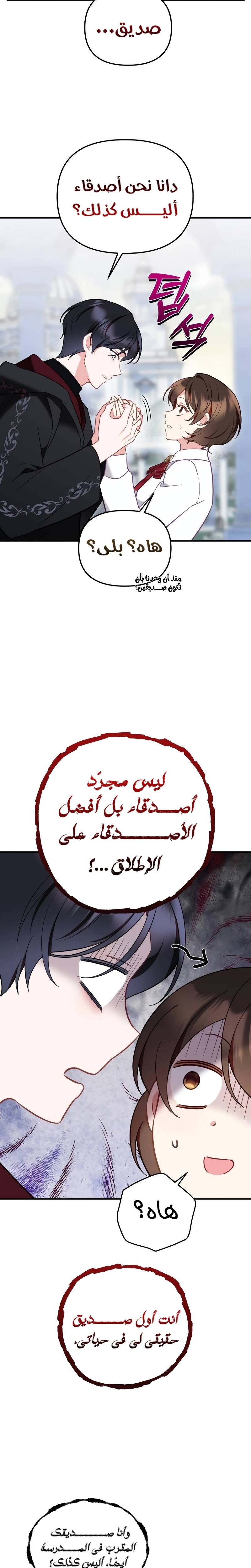 الصفحة 11