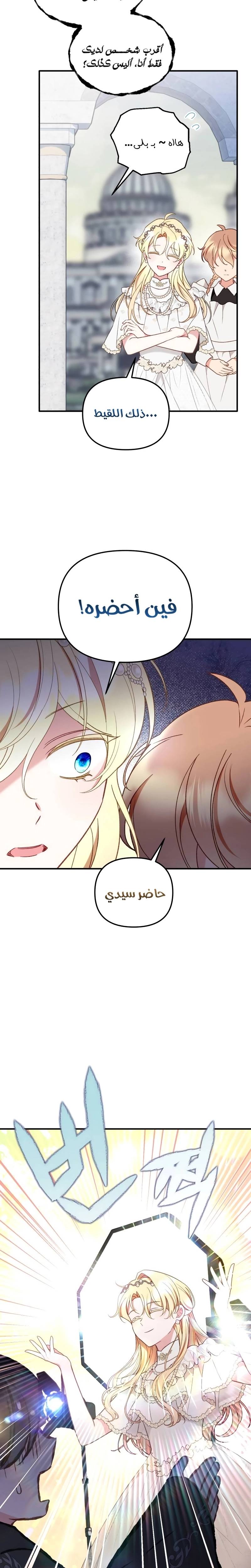 الصفحة 12