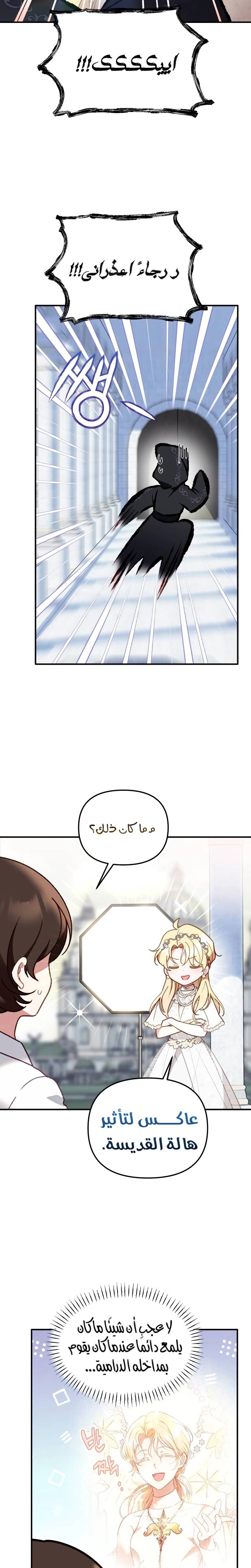 الصفحة 13