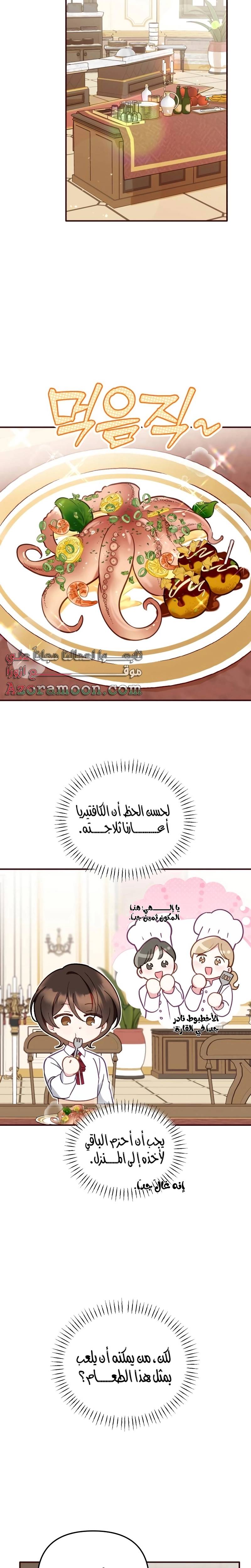 الصفحة 17