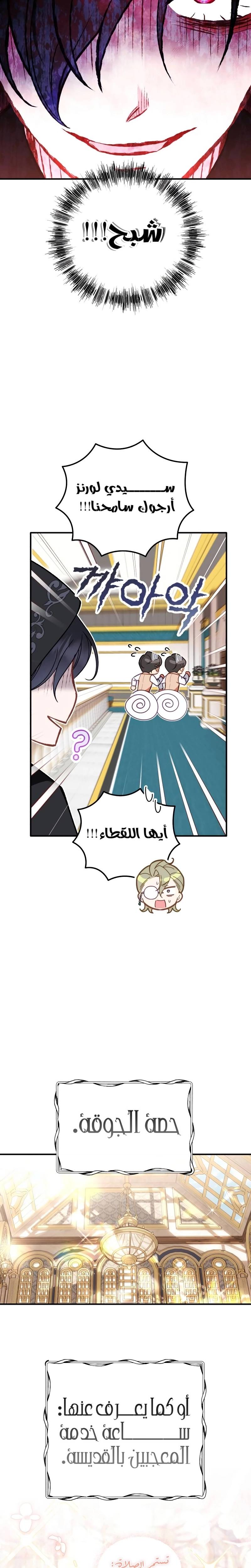 الصفحة 21