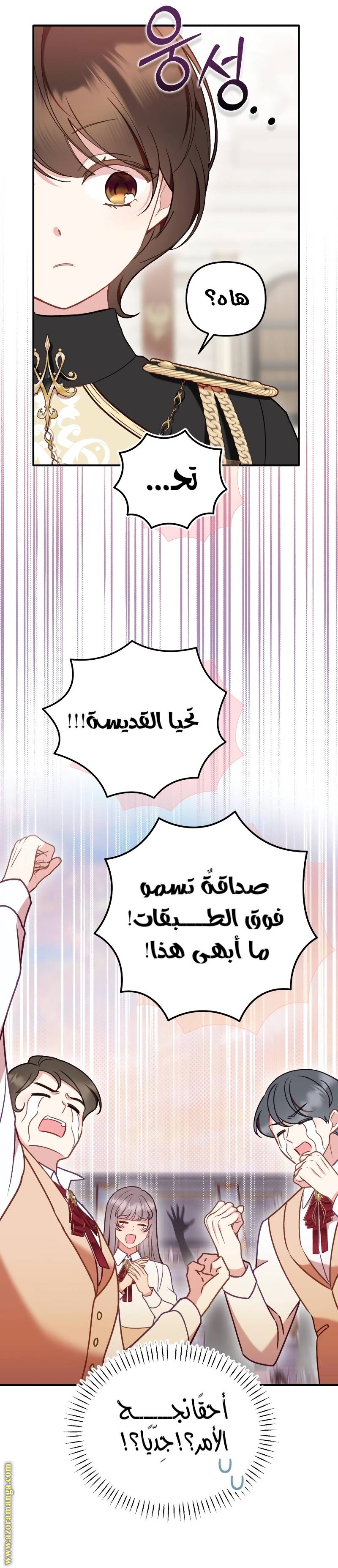 الصفحة 17