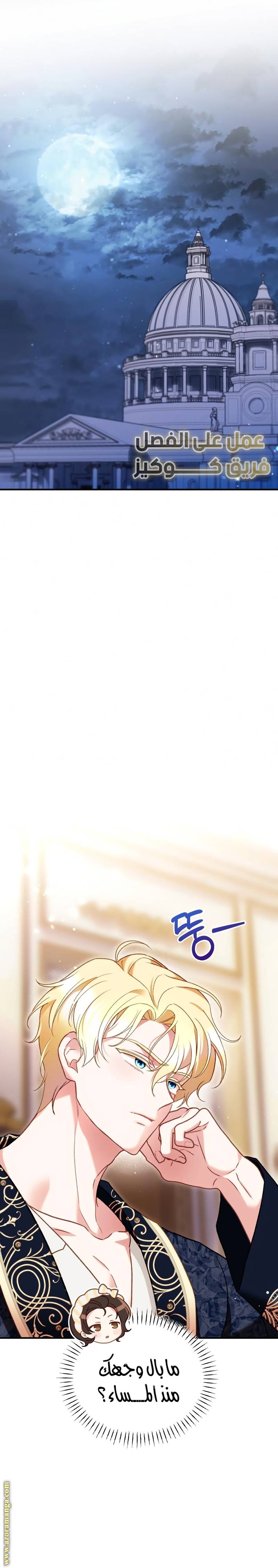 الصفحة 24