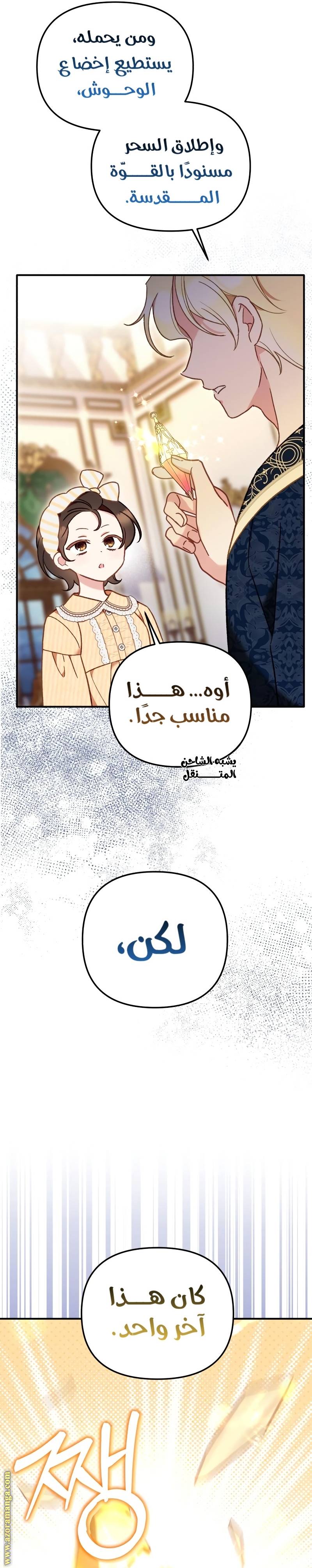 الصفحة 27