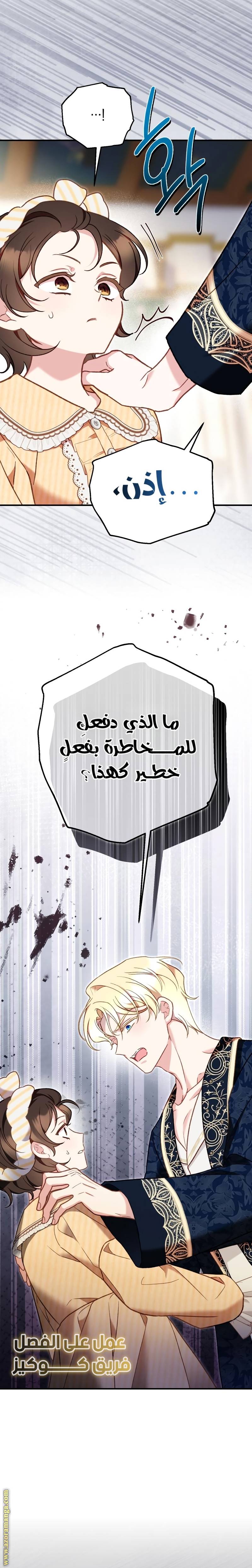 الصفحة 29