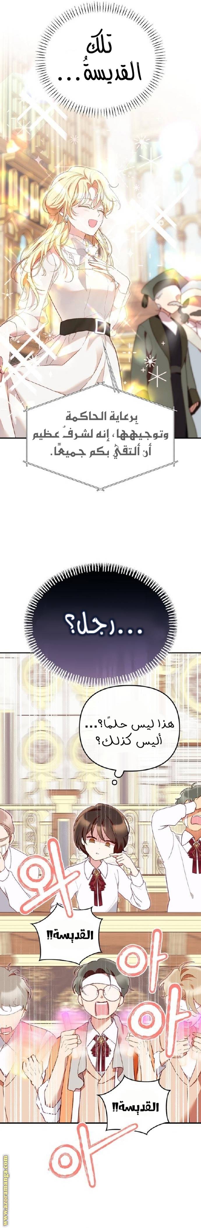الصفحة 13