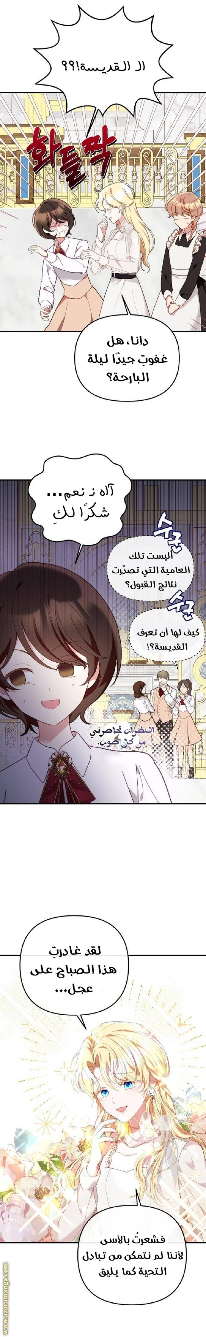 الصفحة 17