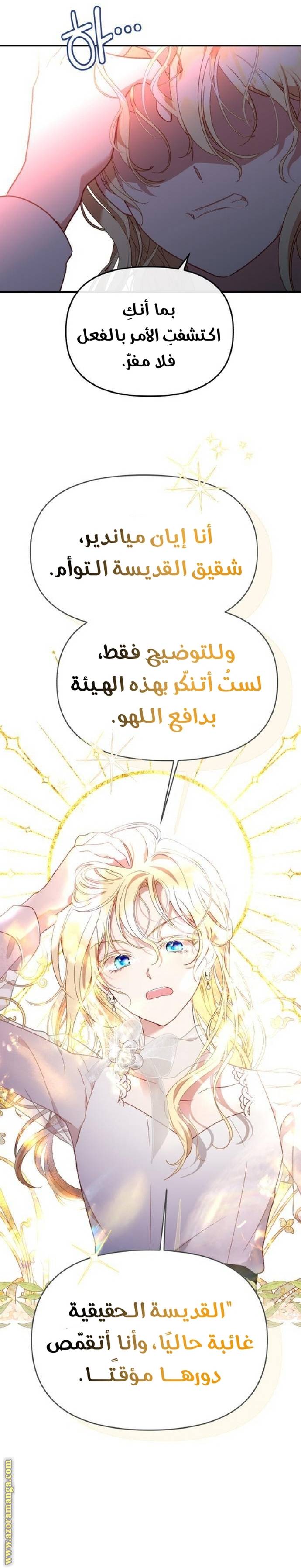 الصفحة 22