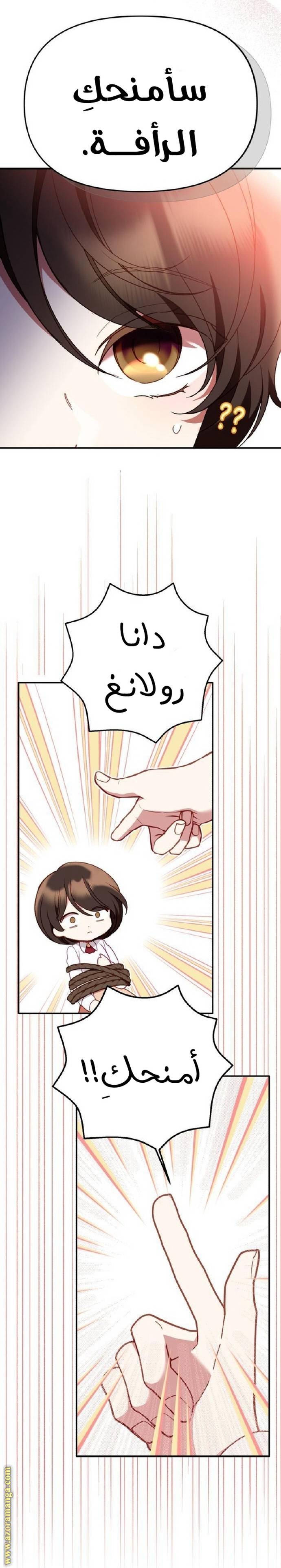 الصفحة 24