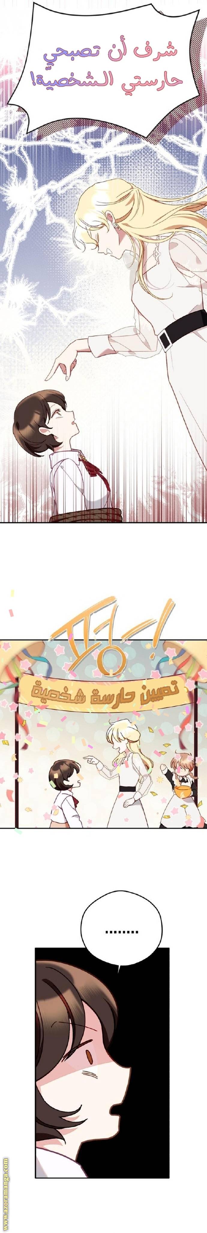 الصفحة 25