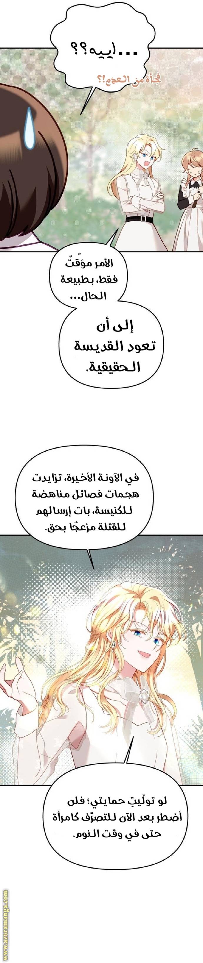 الصفحة 26