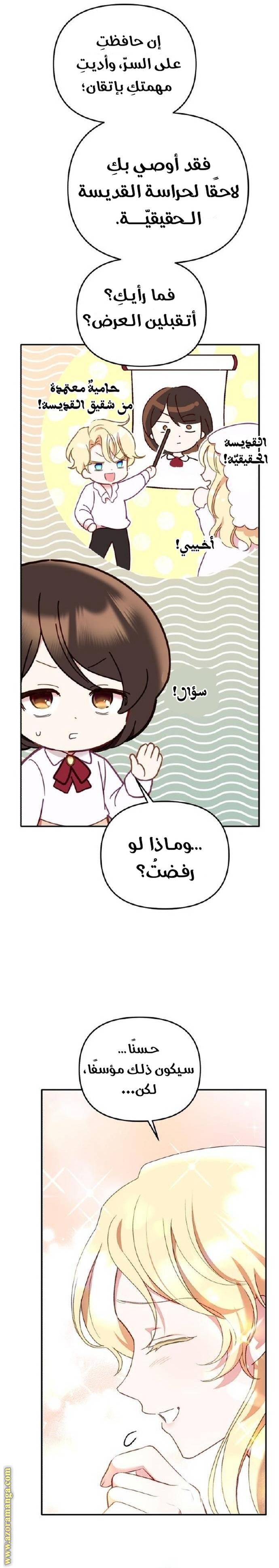 الصفحة 27