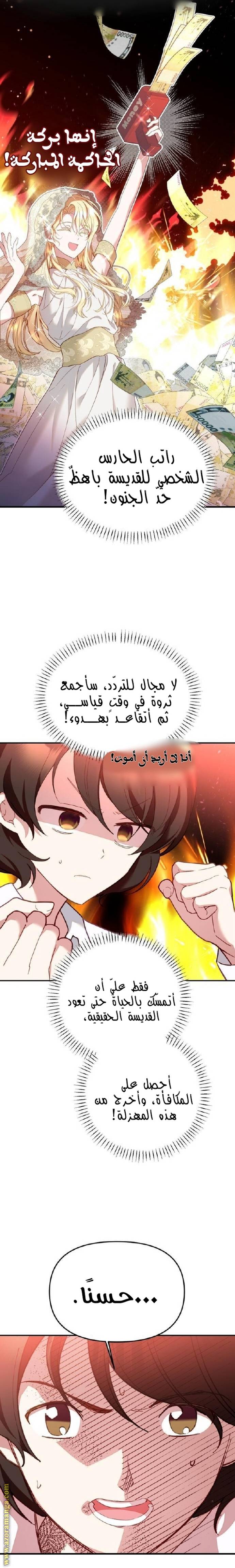 الصفحة 29
