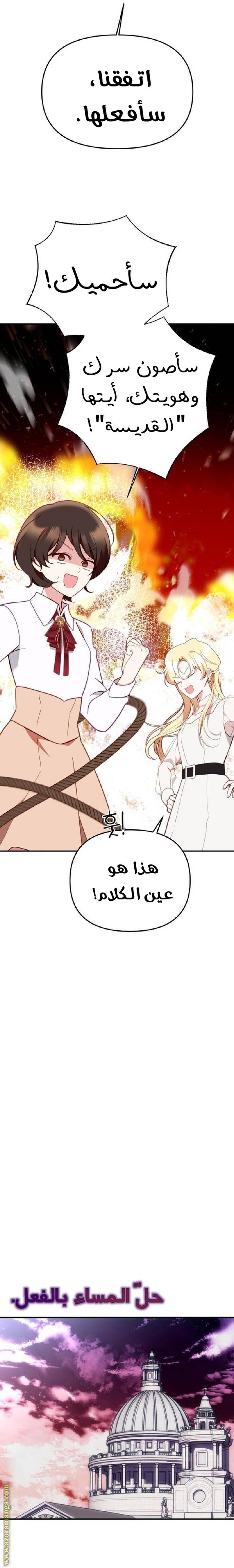 الصفحة 30