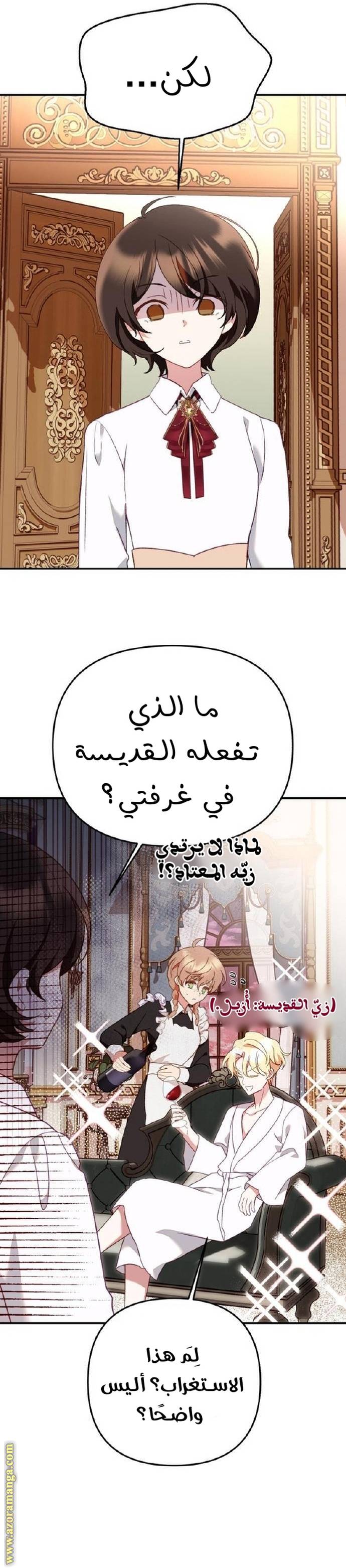 الصفحة 31