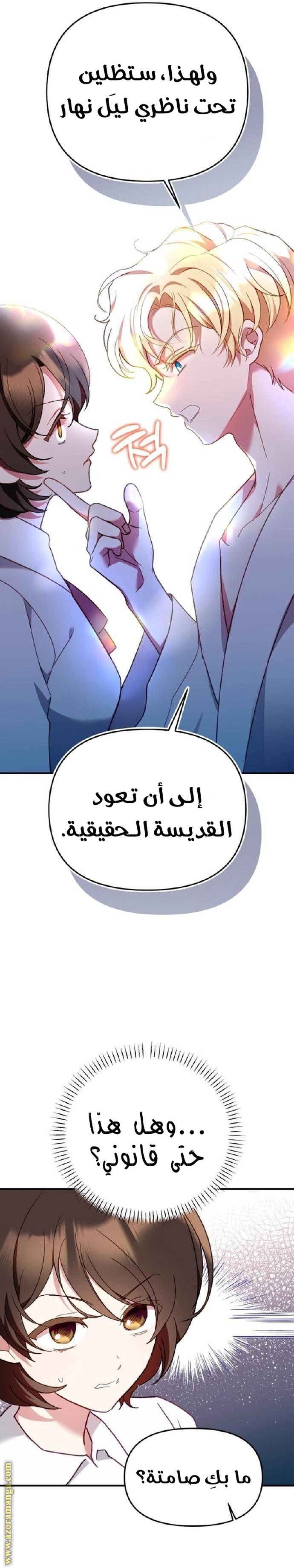 الصفحة 33