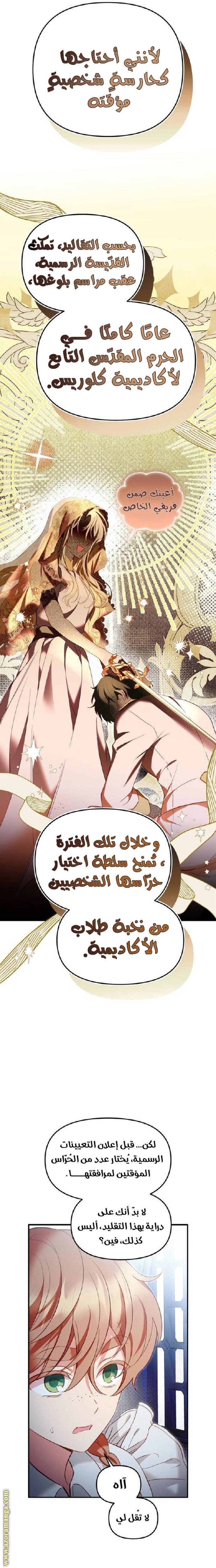 الصفحة 41