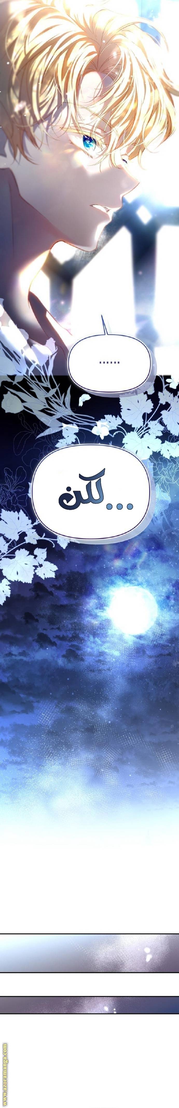 الصفحة 47