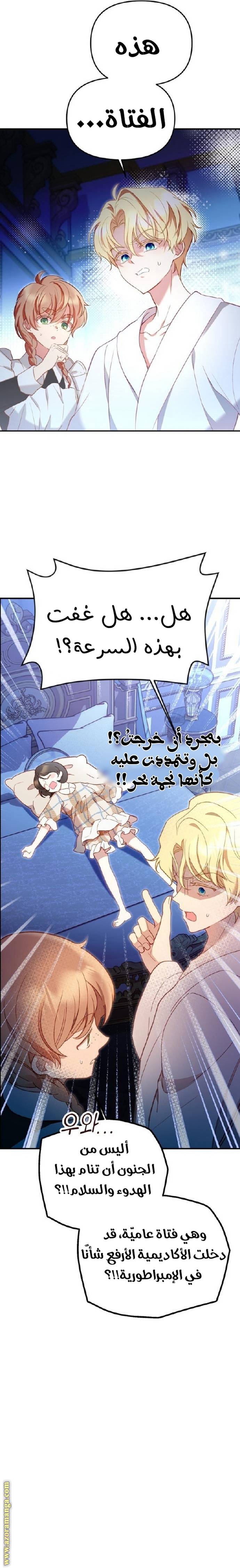 الصفحة 48